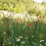 Semesterbostad Spacious Countryside Escape