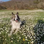 Spacious Countryside Escape בית נופש *