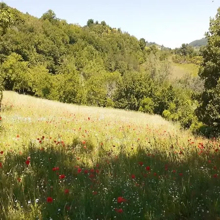 بيت للعطل Spacious Countryside Escape Valtopina