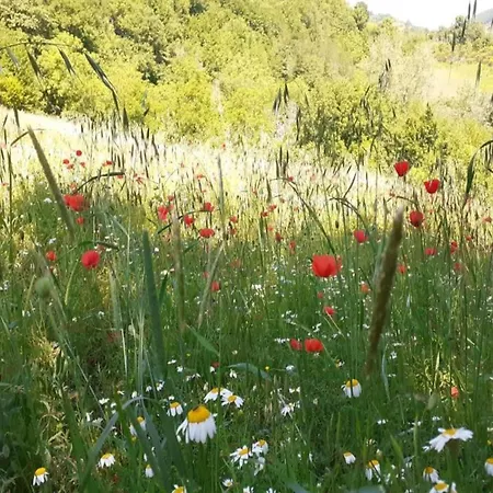 Σπίτι διακοπών Spacious Countryside Escape