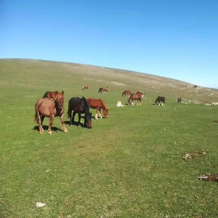 Spacious Countryside Escape بيت للعطل
